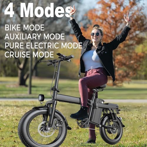 Ronson Electric Bike for Adults, 750W+ Motor Ebike with 48V20AH/25AH Recyclable Battery, Foldable Electric Bike 80+ Miles Range & 30MPH Max Speed,16"×3" Fat Tire E Bike and Passed UL&GCC