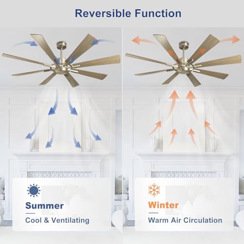 Depuley Large Ceiling Fans with Lights- 60" Low Profile Indoor Ceiling Fan with Light and Remote/APP Control, LED Dimmable DC Reversible Modern Ceiling Fan for Bedroom Living Room, Black and Gold