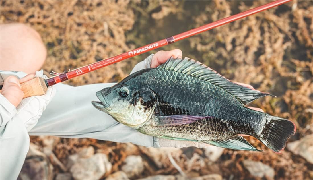M MAXIMUMCATCH Maxcatch Parachute Fly Fishing Rod 4 Piece 9ft 5wt Graphite IM12/40T Carbon Fiber Fast Action Fly Rod