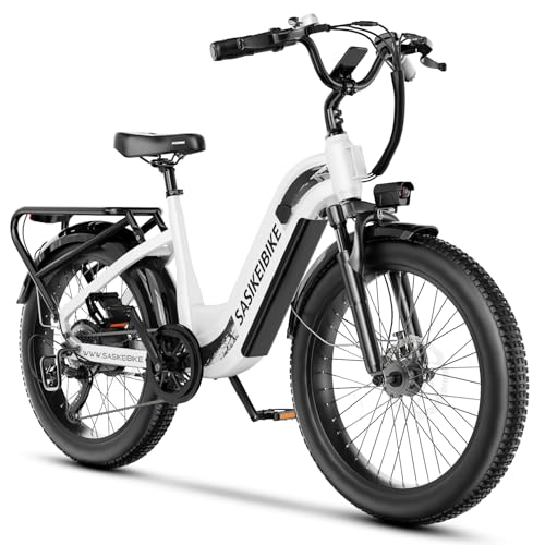 1500W Motor Peak Electric Bike for Adults and Teenagers, 48V 20AH Removable Battery Step Thru EBike, 30+MPH, 80 Miles Max Range, 24" Fat Tire Adult Electric Bicycles for 7 Speed