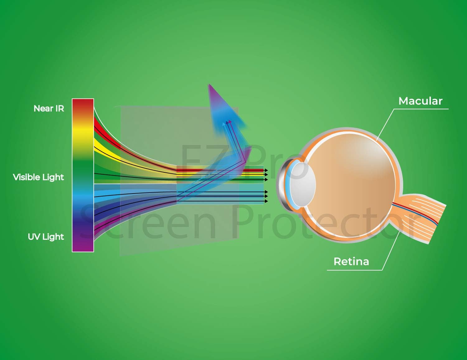 Anti Blue Light Screen Filter for 31 and 32 Inches Widescreen Computer Monitor, Blocks Excessive Harmful Blue Light, Reduce Eye Fatigue and Eye Strain Pack of 2