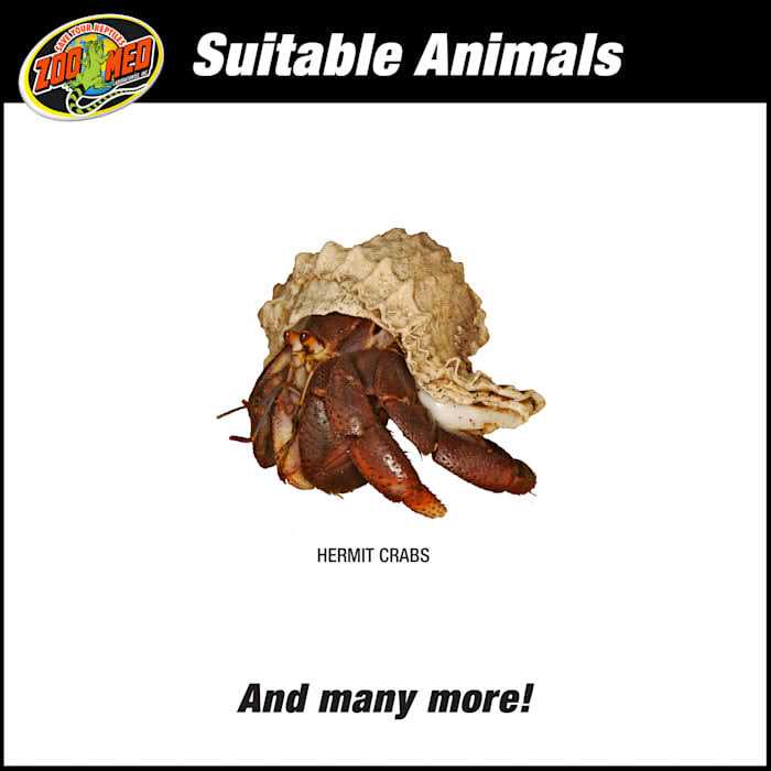 Zoo Med ReptiHabitat Hermit Crab Kit - Pet Supplies online store