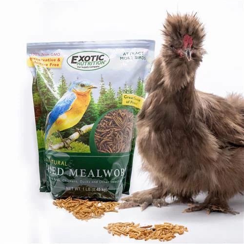 Exotic Nutrition Dried Mealworms 22 lb.