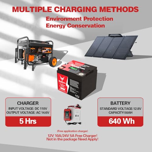 12V 300Ah Small-Volume LiFePO4 Lithium Battery,250A BMS,10000+ Deep Cycle Lithium Iron Phosphate Battery Great for Winter Power Shortage, RV, Marine and Off Grid Applications