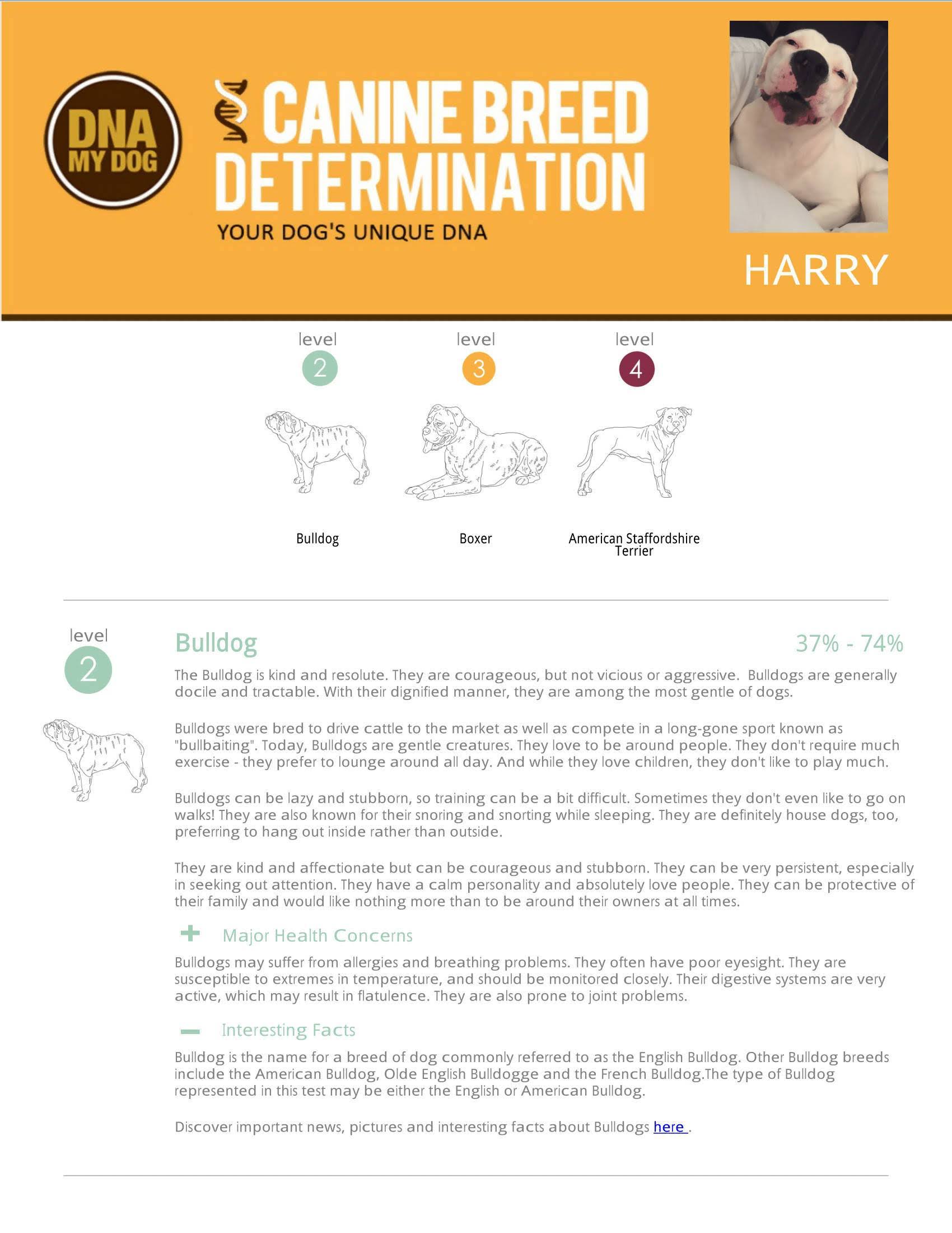 DNA My Dog Breed Identification Test Kit