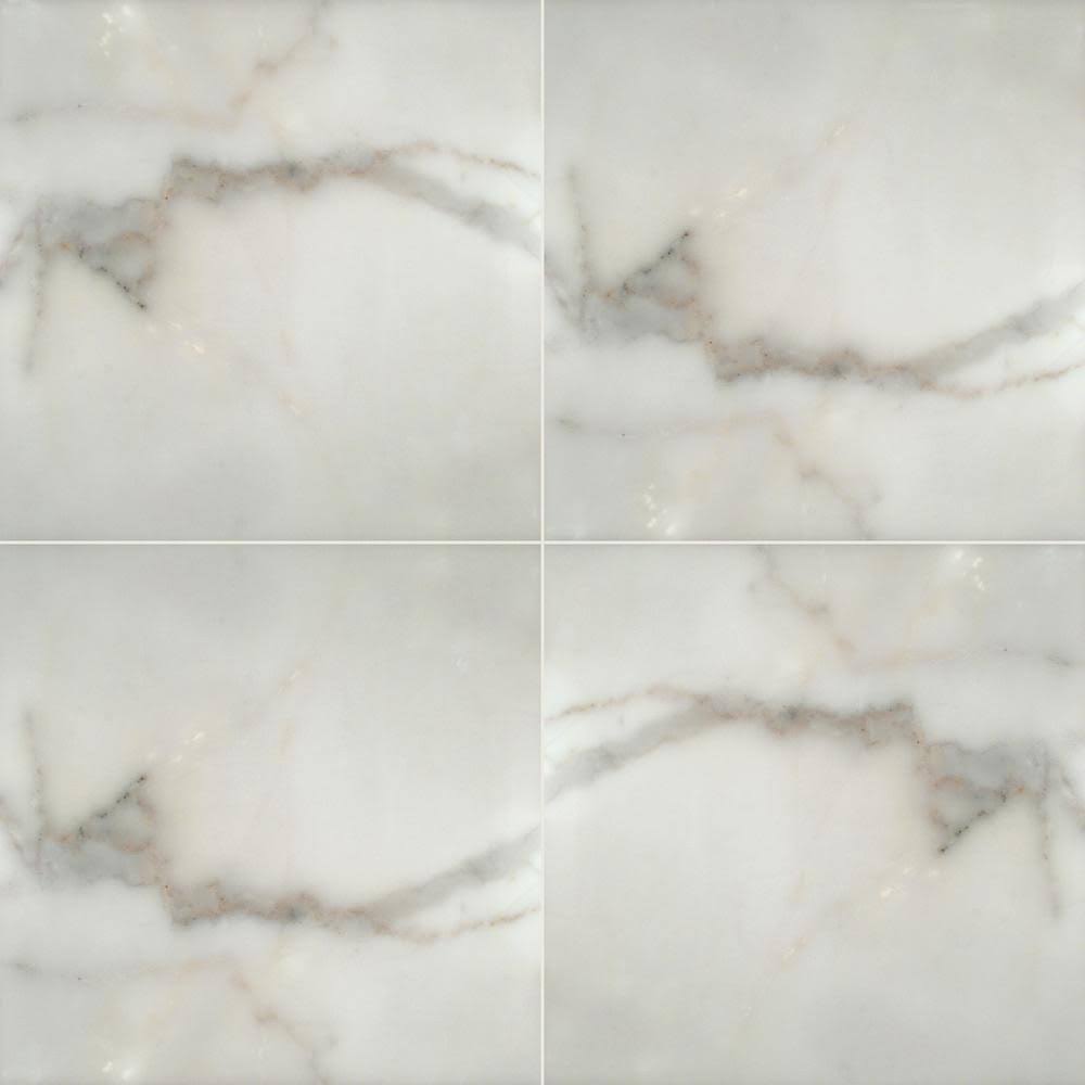 MSI Calacatta Gold 12 in. x 12 in. Honed Marble Floor and Wall Tile (10 Sq. ft./Case)