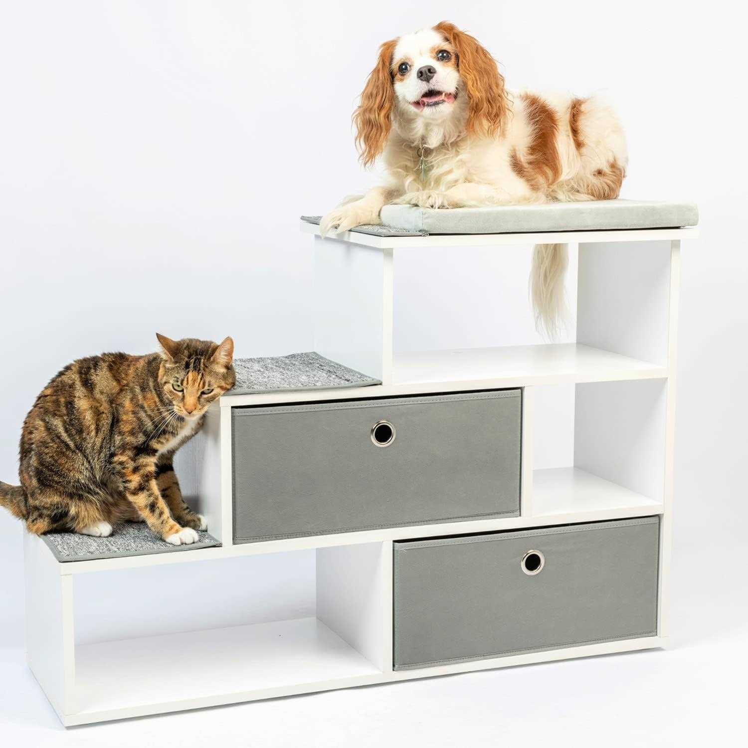 PetFusion Pet Step Window Perch Bookshelf - Pet Supplies online store