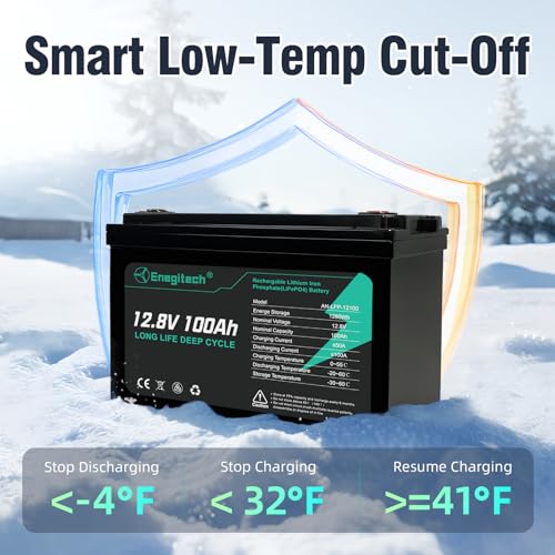 12V 100Ah LiFePO4 Lithium Battery, Up to 15000 Deep Cycles, Low-temp Protection, Ideal for RV, Marine, Trolling Motor, Solar/Wind, Off-Grid and more (12.8V 100Ah)