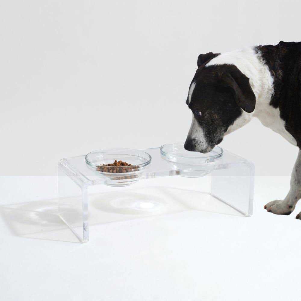 Glass Bowl Clear Elevated Feeder Hiddin - Pet Supplies online store
