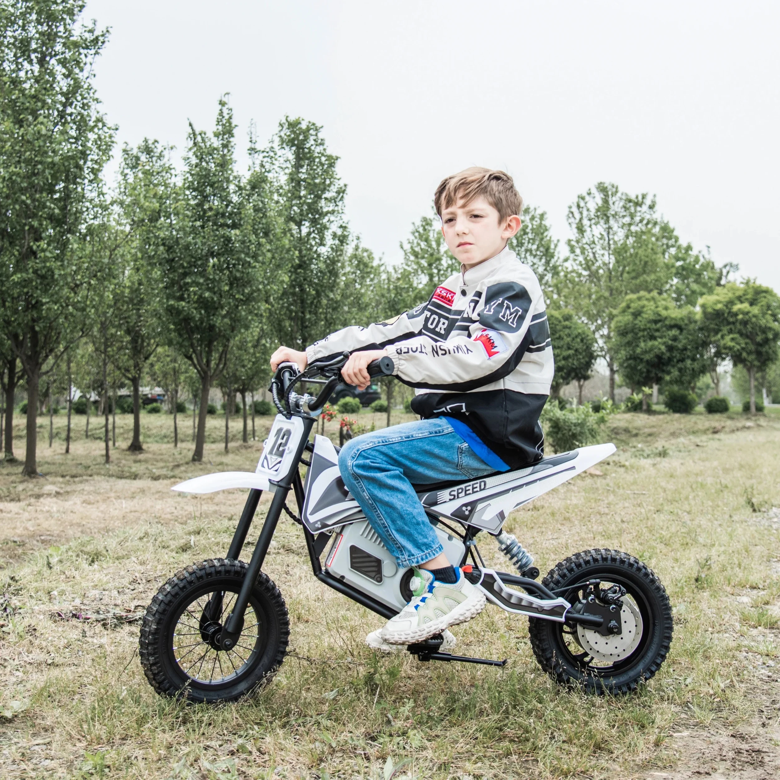 Freddo 36V Electric Dirt Bike with Brushless Motor - Curated Treasures Market