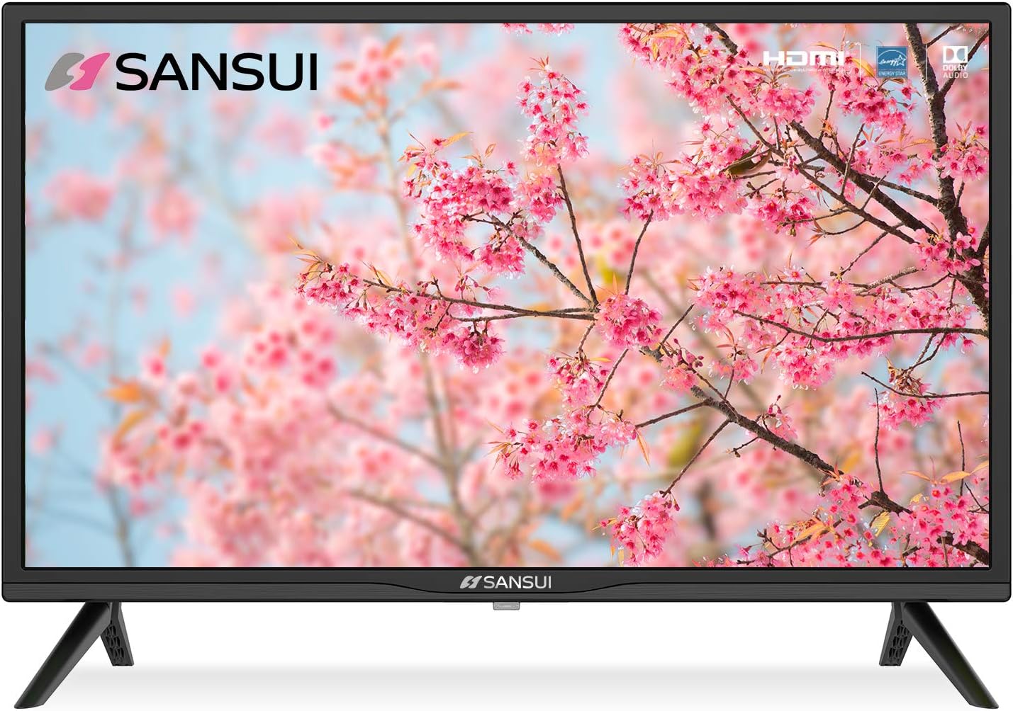 SANSUI ES24Z1, 24 inch HD (720P) LED TV with Built-in HDMI, USB, VGA, Dolby Audio(2021 Model)