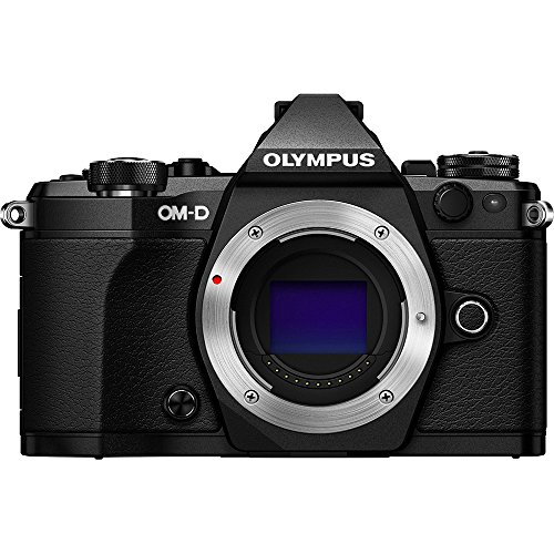 OM SYSTEM OLYMPUS OM-D E-M5 Mark II (Silver) (Body Only)