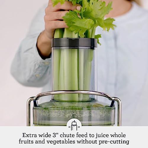 Breville Stainless Steel Juice Fountain Cold 1250 Watts Corded Electric Renewed juicer
