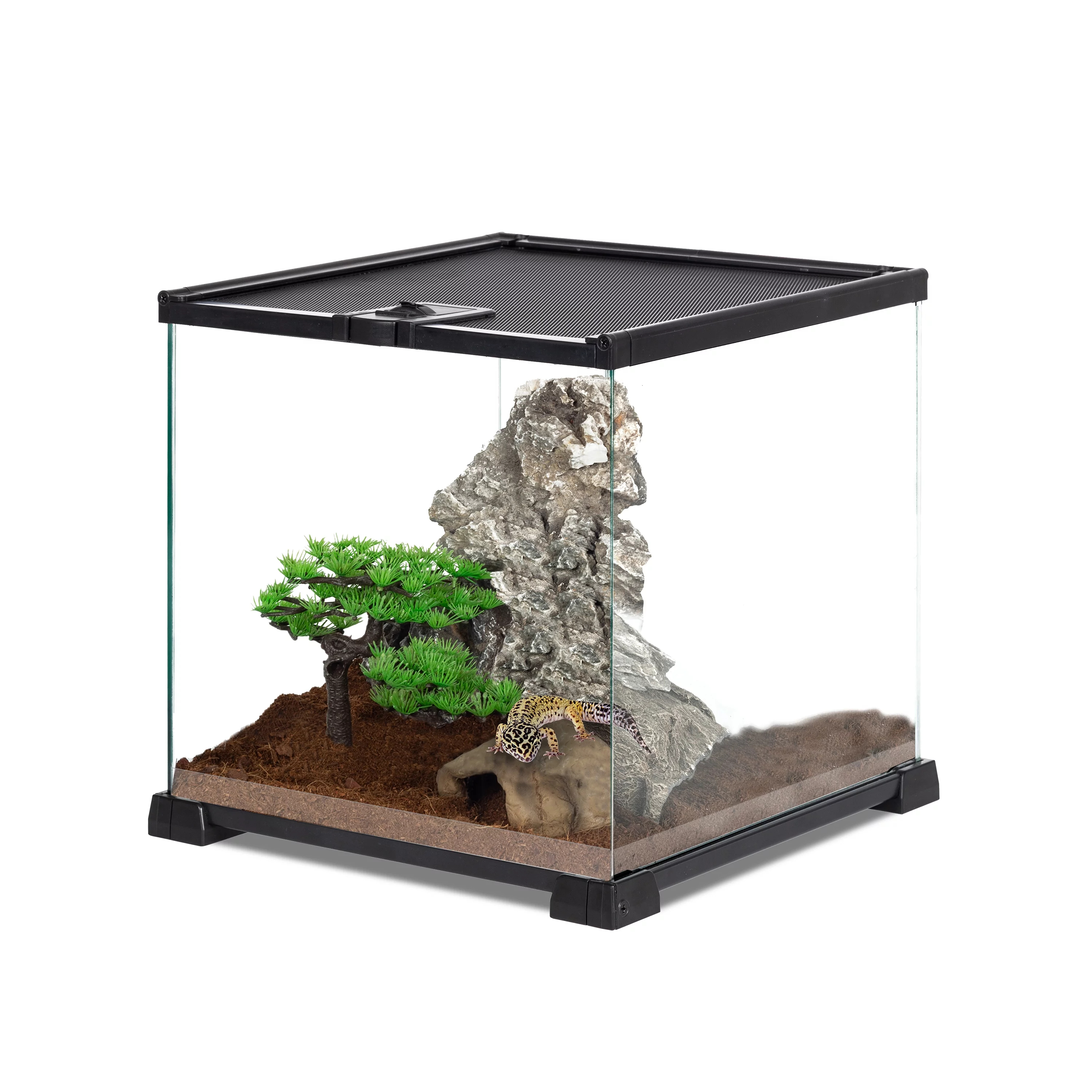 REPTI-ZOO Glass Mini 8 Gallon Reptile Terrarium 12" x 12" x 12", Top Screen Ventilation & Feeding - Curated Treasures Market