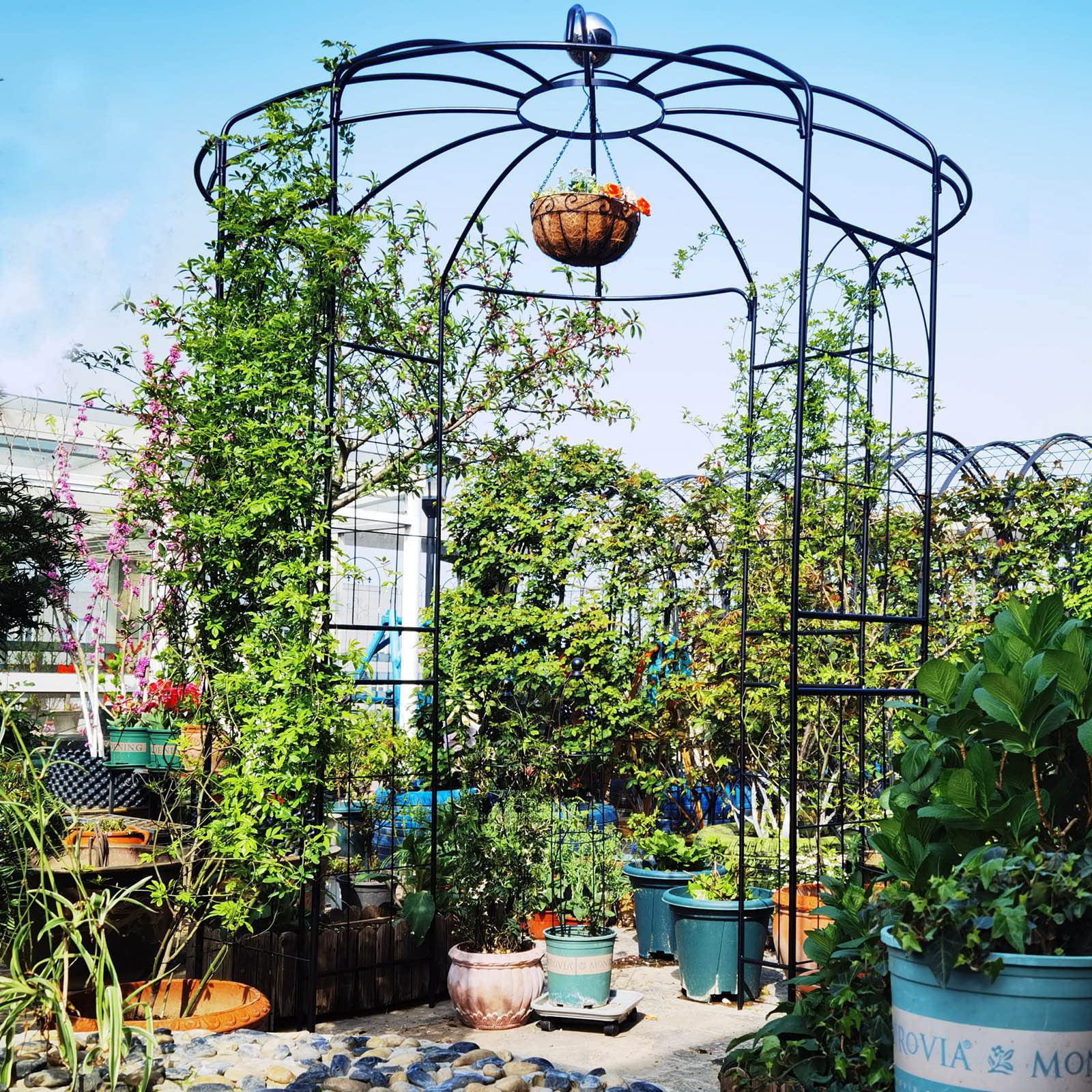 Metal Garden Arch, 81.3" Diameter x 114.2" High, Iron Birdcage-Shaped Garden Gazebo for Wedding Ceremony, Outdoor, Climbable Vine, Rose, Dark Rust Color, Black