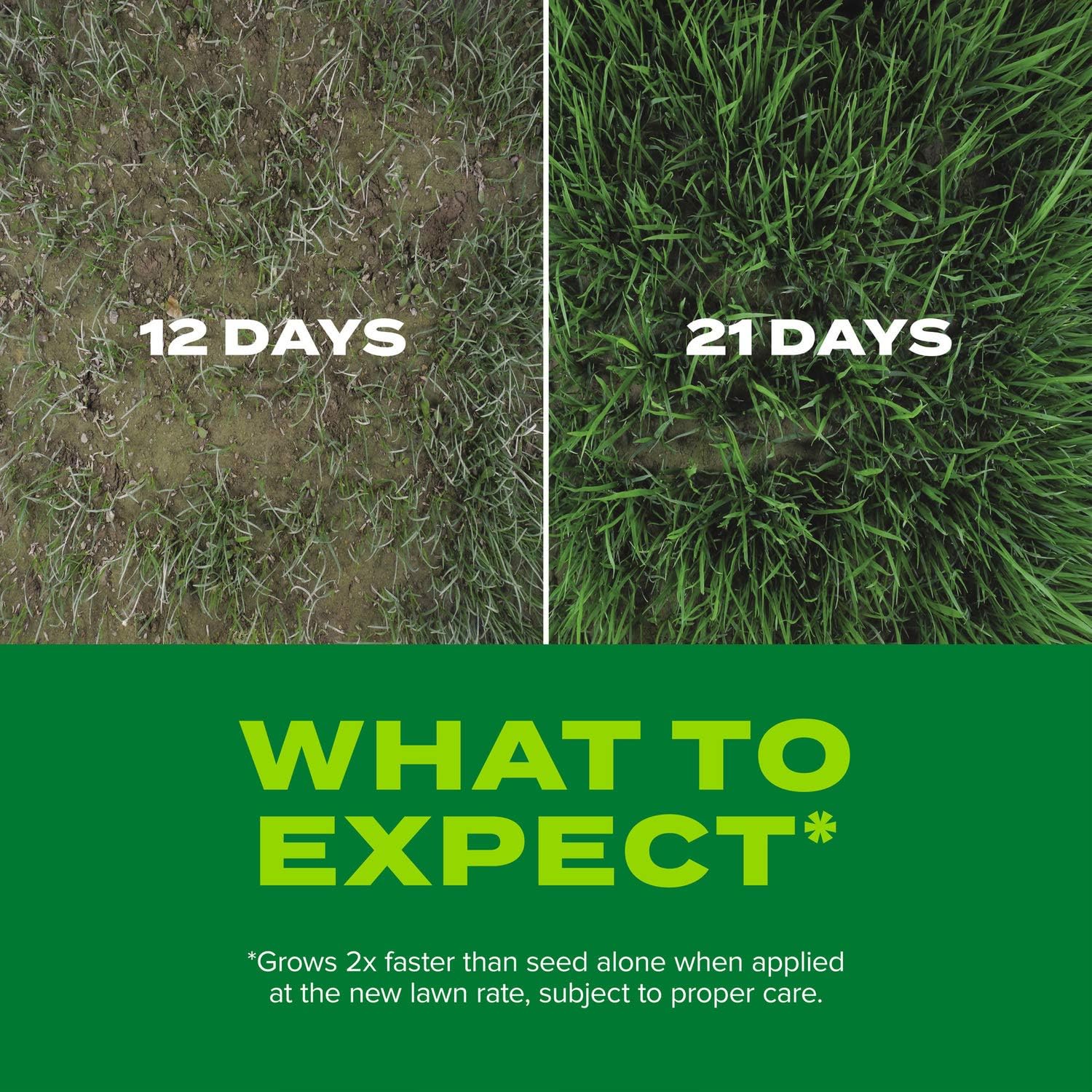 Scotts Turf Builder Rapid Grass Sun & Shade Mix: up to 8,000 sq. ft., Combination Seed & Fertilizer, Grows in Just Weeks, 16 lbs