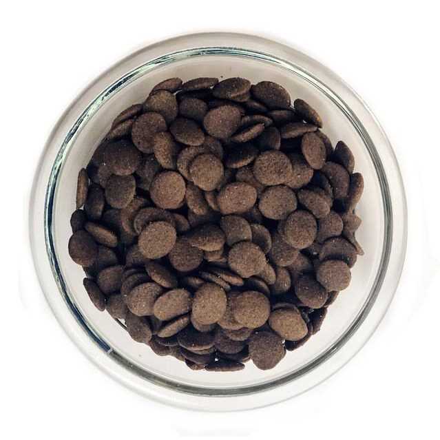 Lucy Pet Formula for Life Chicken Brown Rice & Pumpkin Dry Dog Food