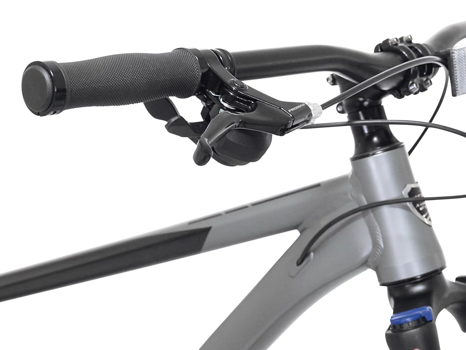 Kent Bicycles 29" Men's Trouvaille Mountain Bike Medium, Black and Taupe