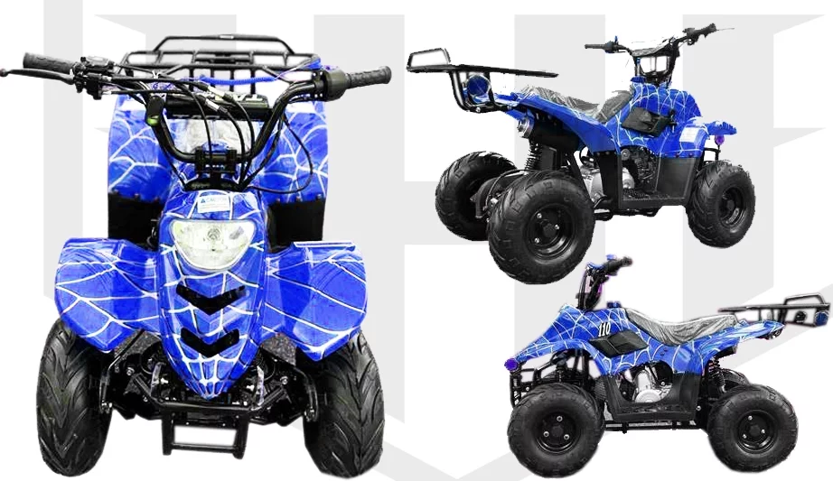 Red Spider Taotao 110cc Raider 6 Kids Air Cool, Single Cylinder ATV