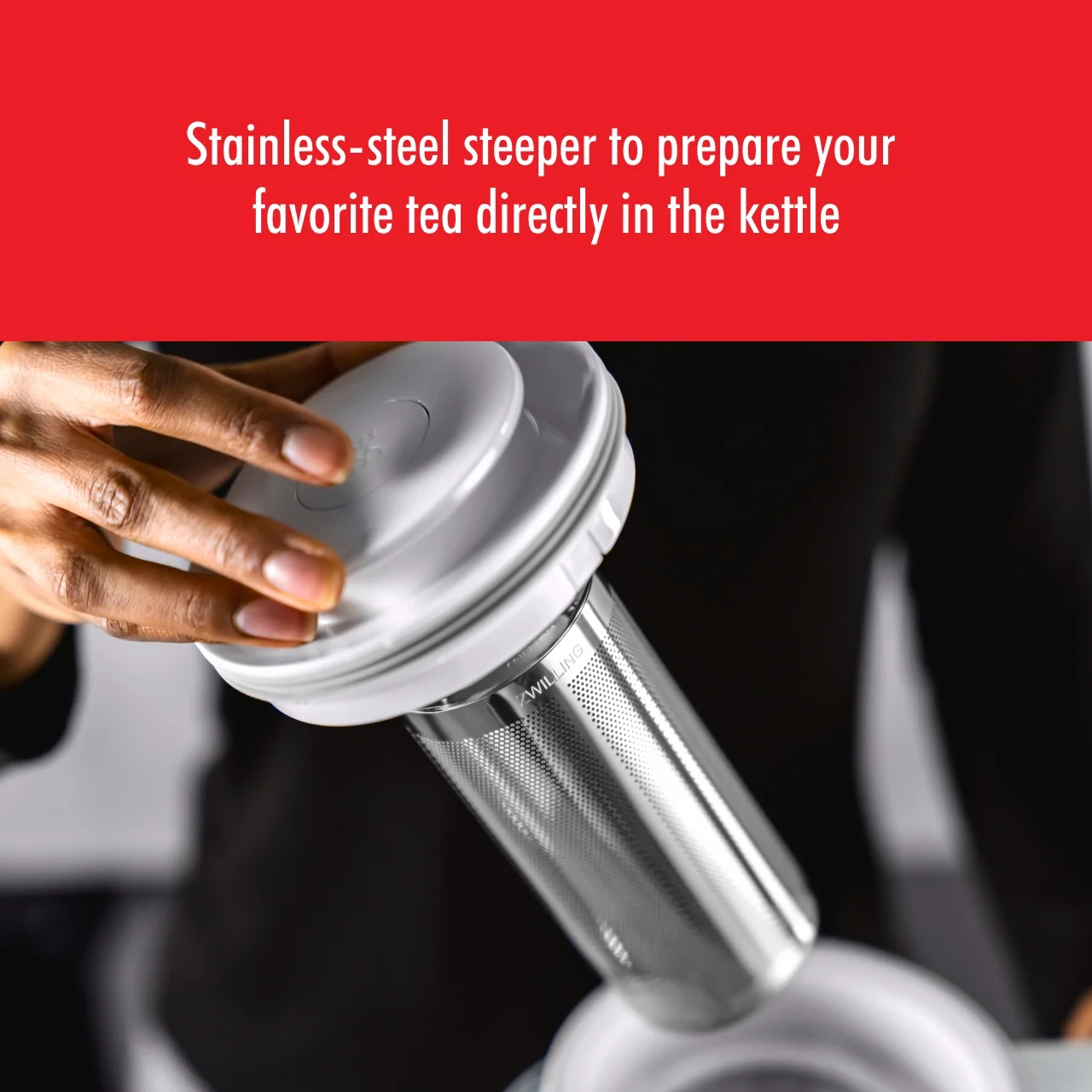 ZWILLING Enfinigy Glass Kettle, Tea Kettle, Silver