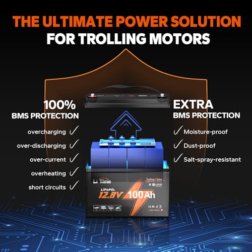 LiTime 12V 100Ah LiFePO4 Battery BCI Group 31 Lithium Battery Built-in 100A BMS, Up to 15000 Deep Cycles, Perfect for RV, Marine, Home Energy Storage