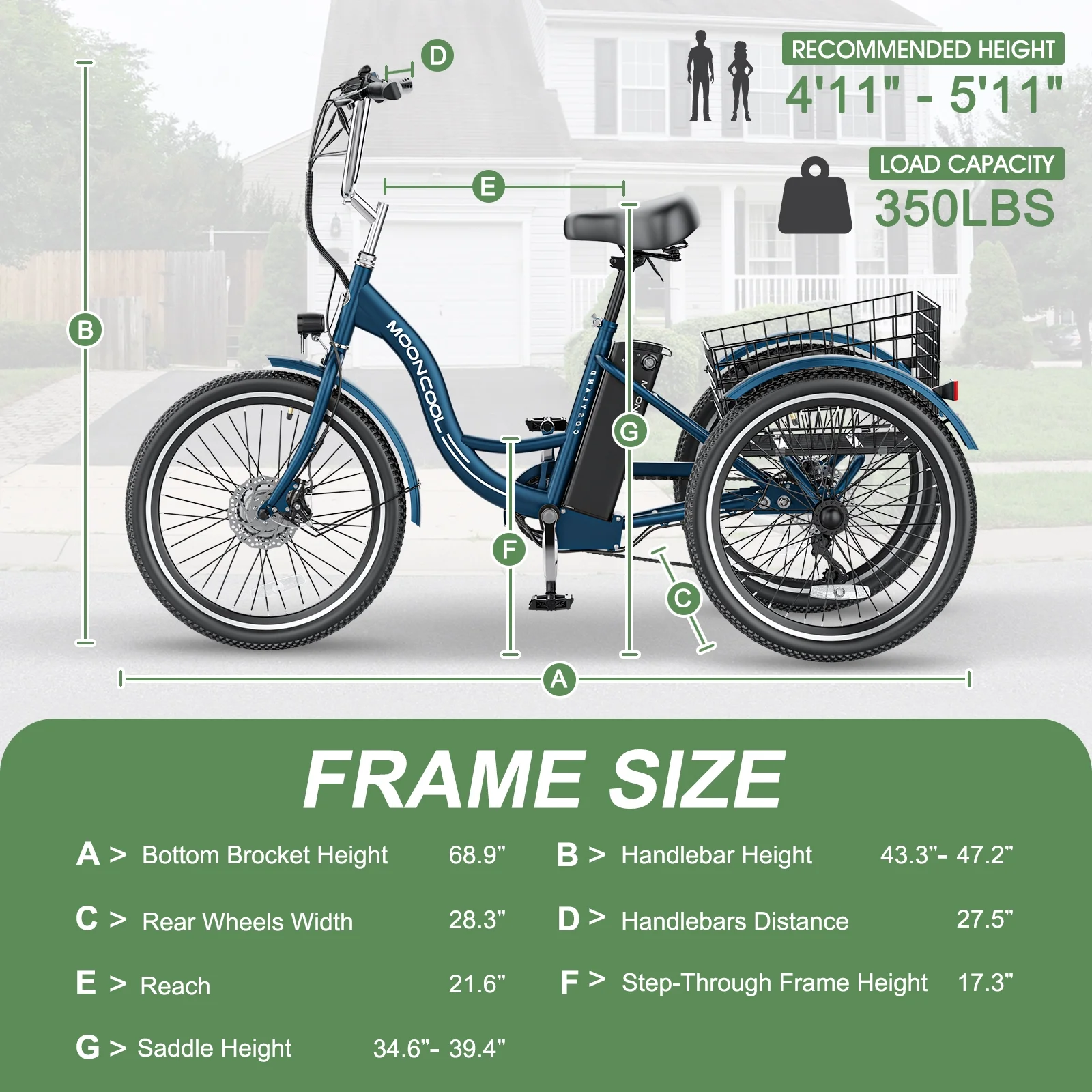 24 Inch Adult Electric Tricycles 3 Wheel Electric Bike, 15.5 mph 350W Electric Trikes for Seniors，7-Speed & 4 Adjustable Riding Modes Electric Tricycle with 36V Removable Lithium Battery,24Inch