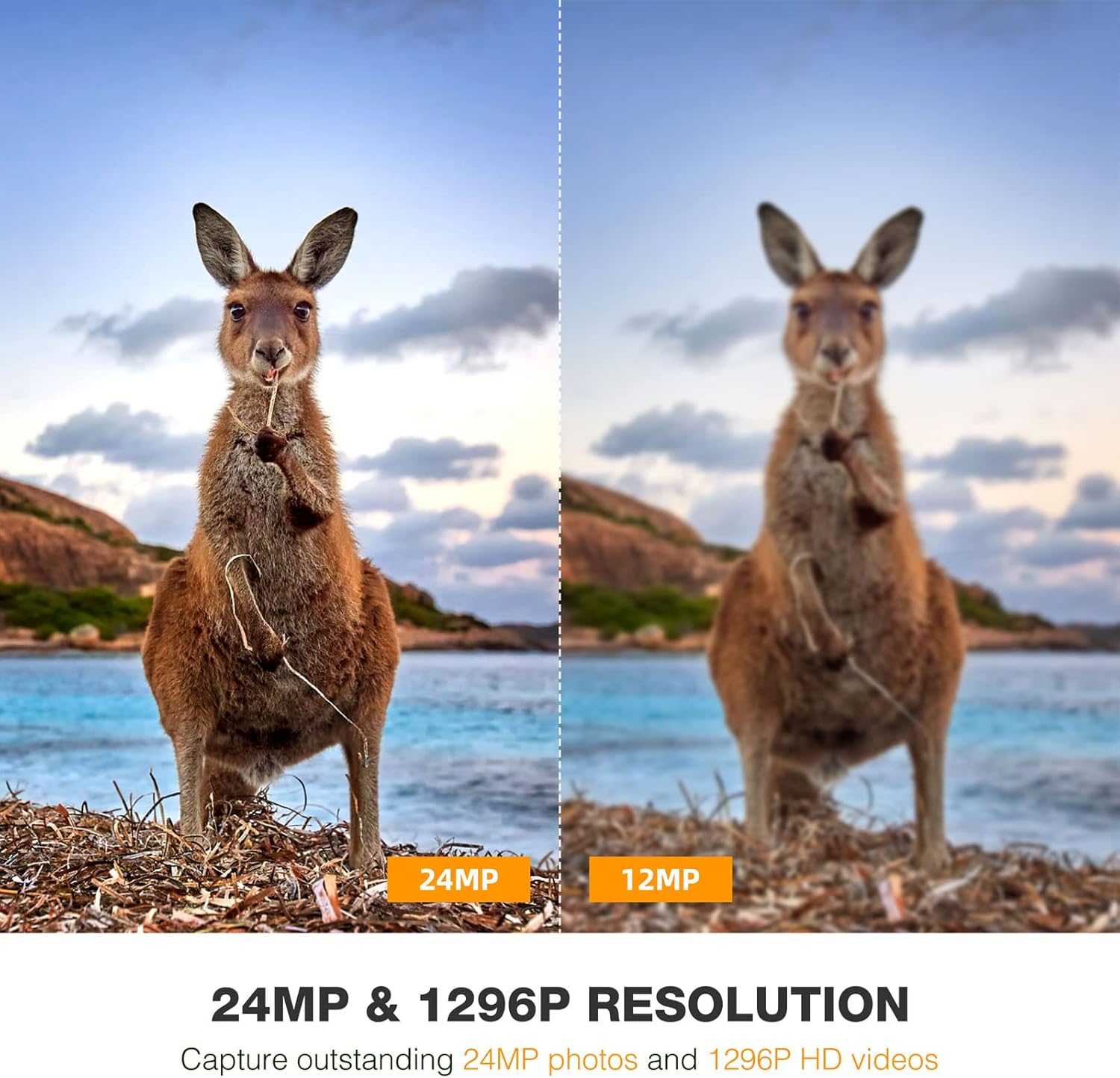 WiFi Trail Camera 24MP 1296P Game Camera with Clear Night Vision, Fast Trigger Speed 80ft Motion Detection 120° PIR Range IP66 Waterproof Wildlife Cam for Deer Turkey Bird Property