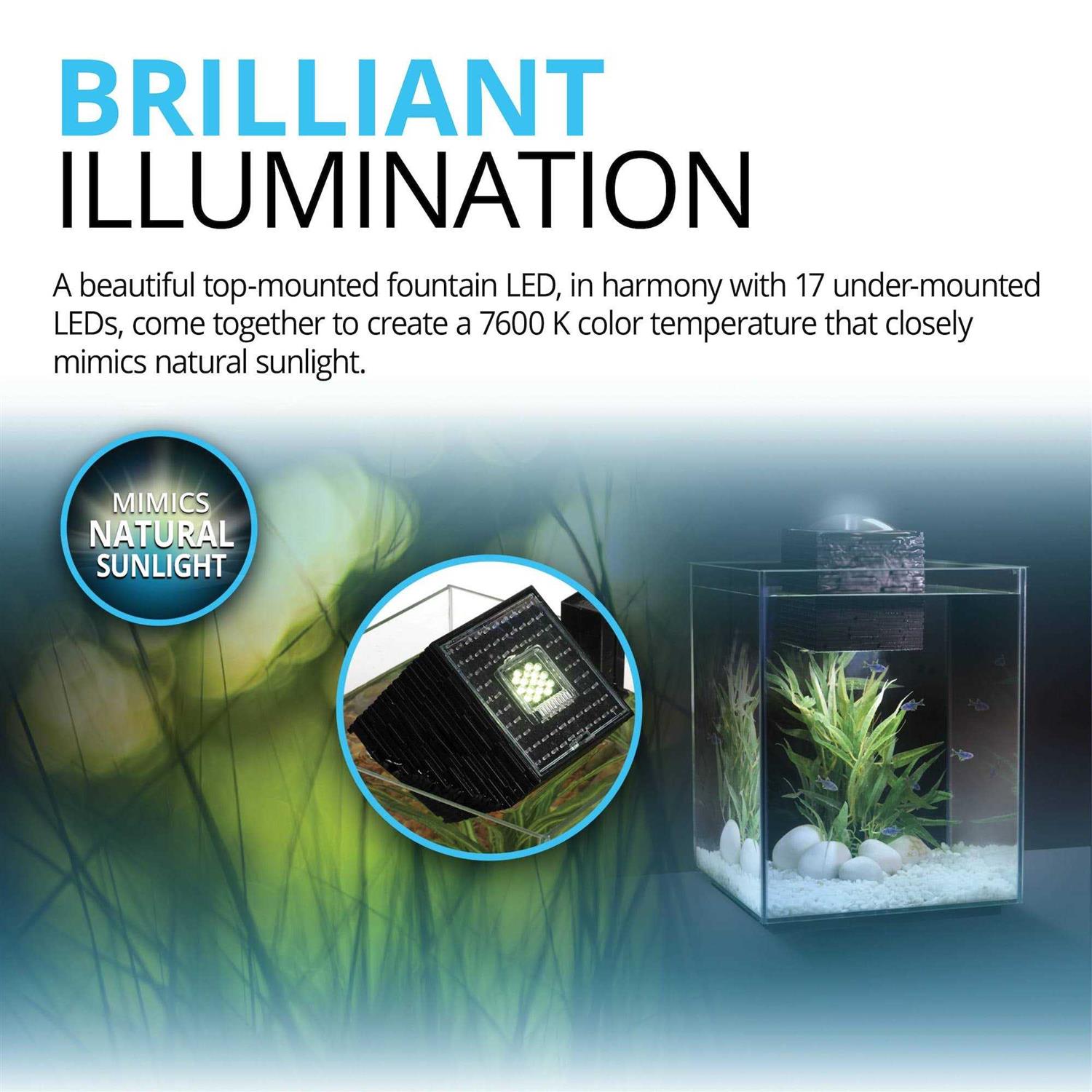 Fluval Chi II - Pet Supplies online store