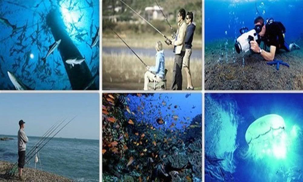 Underwater Fish Finder Anysun Professional Fishing Video Camera with 7x22 TFT Color LCD