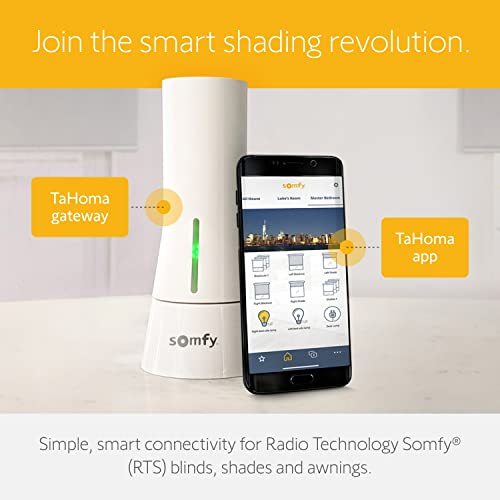 Somfy TaHoma Hub - Smart Home Gateway for RTS Blinds, Shades, and Awnings - Compatible with Voice Assistants, Easy Setup, Ethernet Connection Required for IOS - #1811731, #1870470