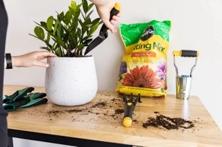 Frontier 48-inch Heavy-Duty Workbench with Adjustable Height, Wood Worktop, Steel Frame