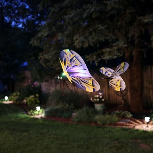 E-flite RC Airplane UMX Night Vapor BNF Basic Transmitter Battery and Charger not Included with AS3X and Safe Select 376mm EFLU1350