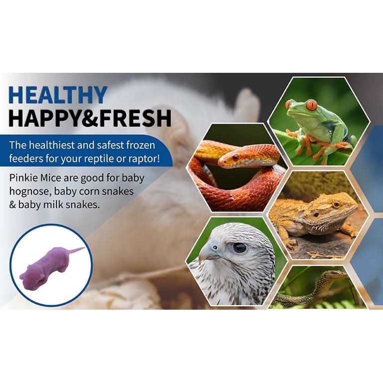 MiceDirect Frozen Mice Feeders Large Mice Fuzzies & Mice Hoppers Snake Food Combo Pack, 150 Count