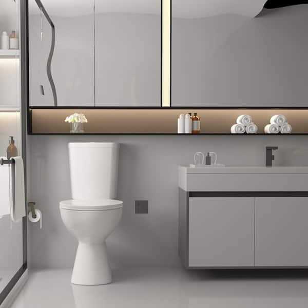 Simple Project 19 in. 2-Piece 1.0/1.6 GPF Dual Flush Elongated Toilet - Shop Hardware Tools Online Store