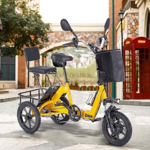 Electric Tricycle for Adults Foldable, 350W(Peak 500W) Folding Electric Trike, 3 Wheel Bikes for Adults with 480Wh Removable Battery, Trike Ebike with 2 Seats and Large Basket for Seniors Women