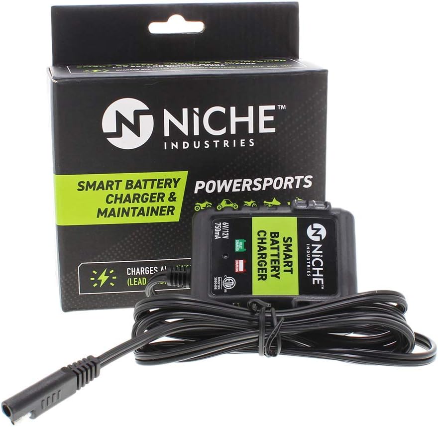 NICHE Battery for YTX14AH-BS AGM Sealed Maintenance Free 210CCA 12V Self Activated ATV UTV Motorcycle for Honda Yamaha