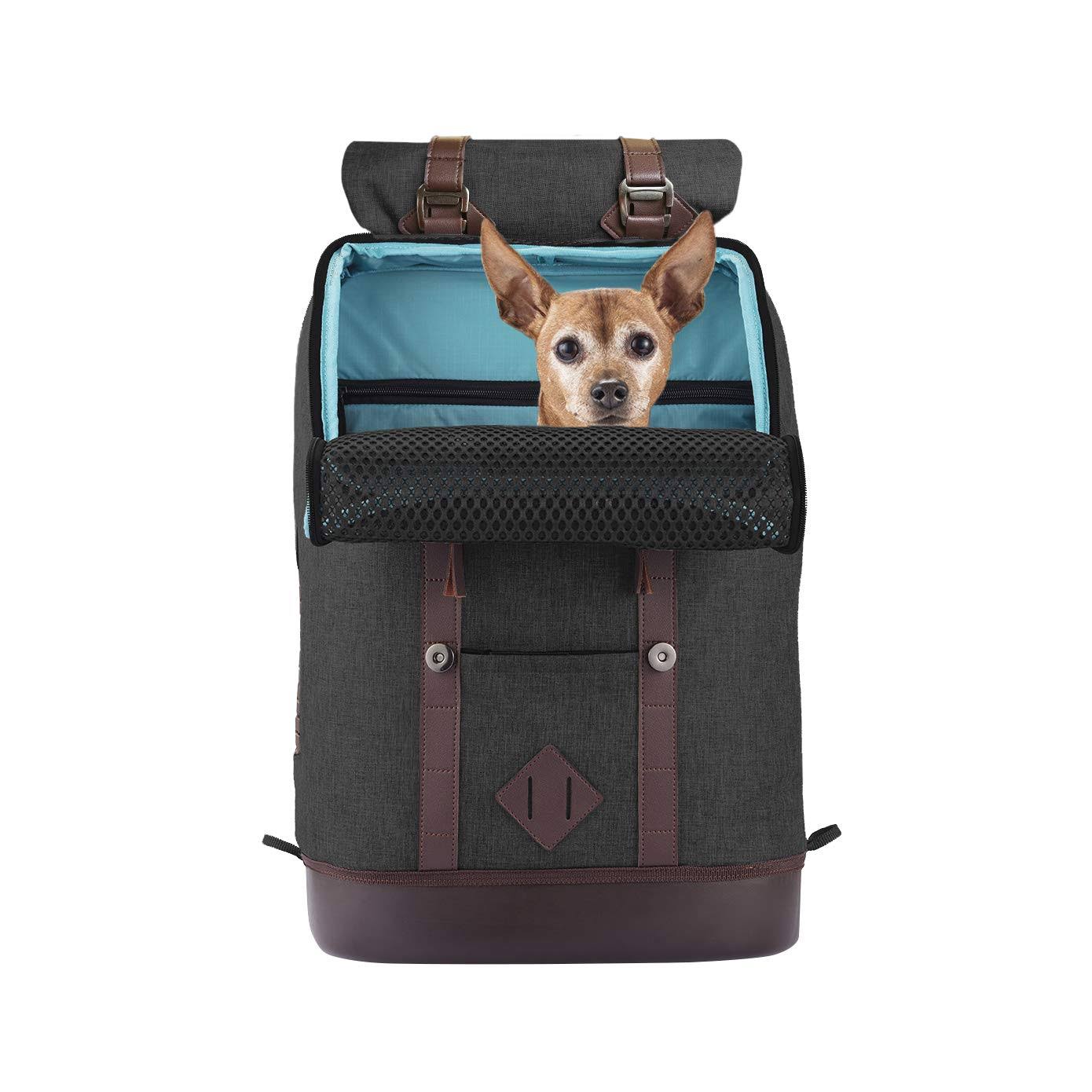 Kurgo Dog Carrier Backpack for Small Pets - Dogs u0026 Cats, Airline Approved, Cat Backpack, Hiking or Travel, Waterproof Bottom