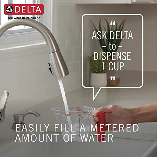 Delta Faucet Monrovia Kitchen Faucet
