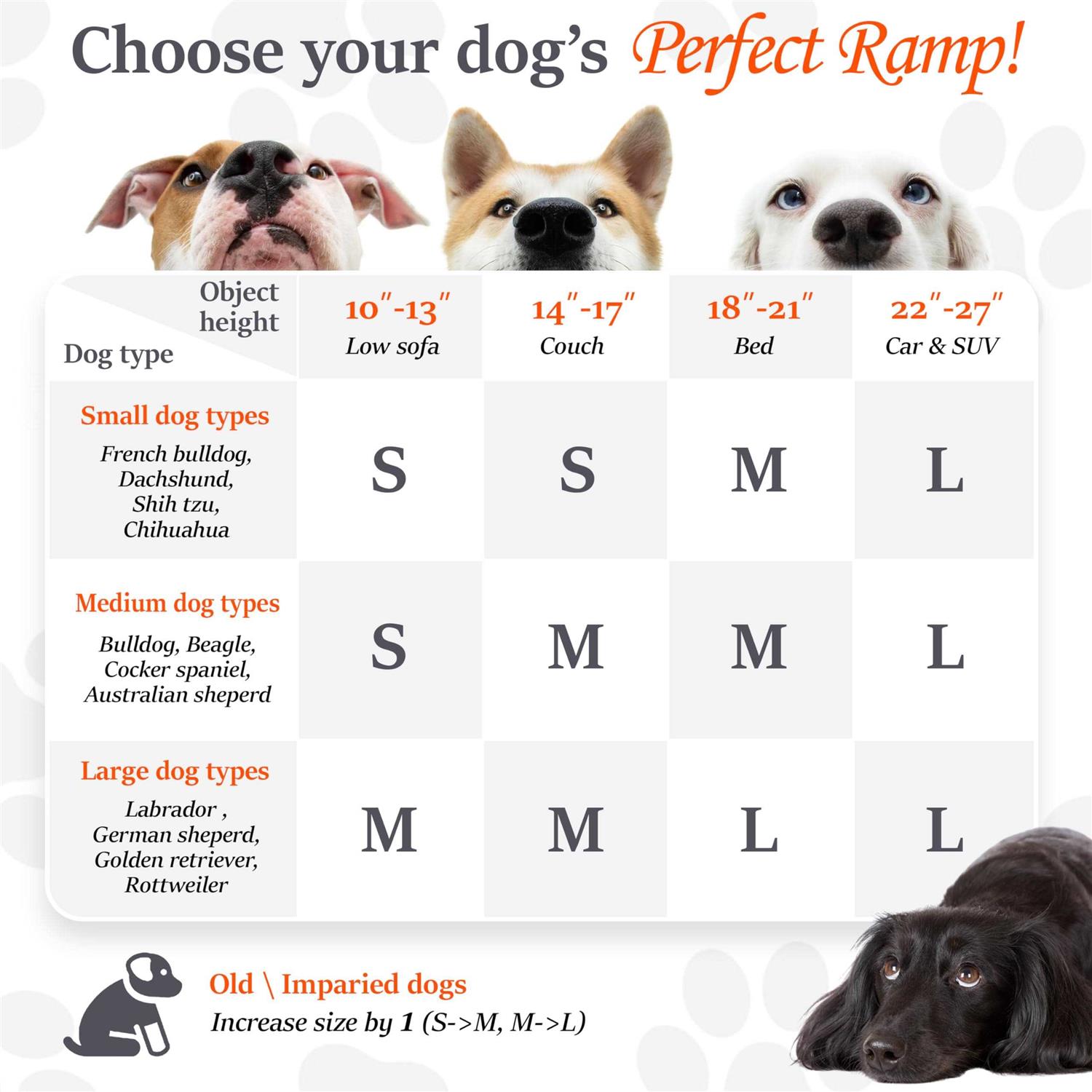 PATHOSIO PETS Dog Ramp for Bed Small Dog to Large Dog Portable Ramp for Dogs - Pet Supplies online store