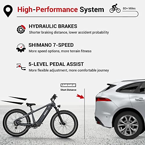 Himiway Zebra D5 Electric Bike, 750W Motor 48V 20Ah Removable Battery 80Miles Range E-Bike for Adults, 26x4 Tire 400lbs Payload, Hydraulic Brakes, 25Mph, 7-Speed