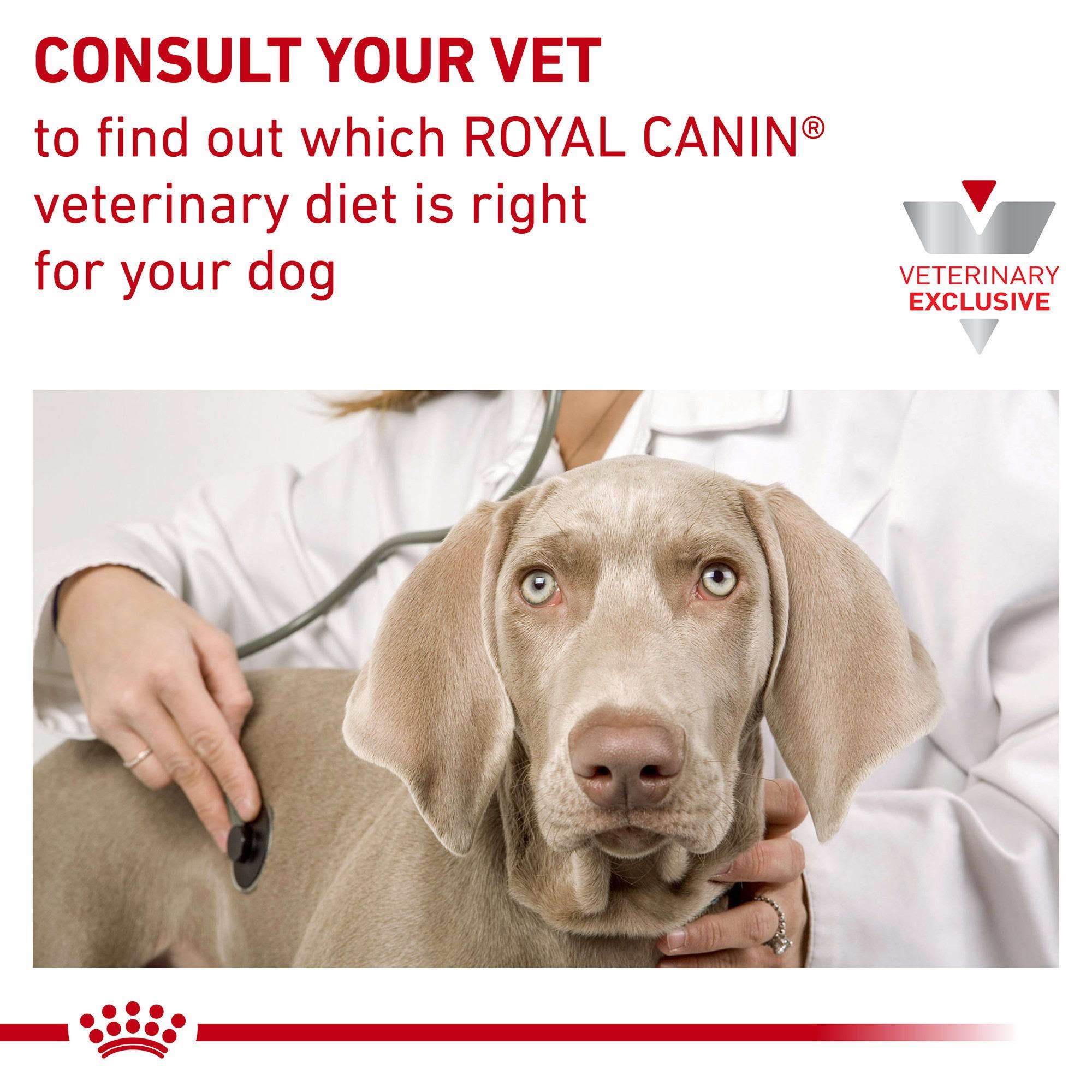Royal Canin Veterinary Diet Canine Vegetarian Dry Dog Food, 17.6 lbs.