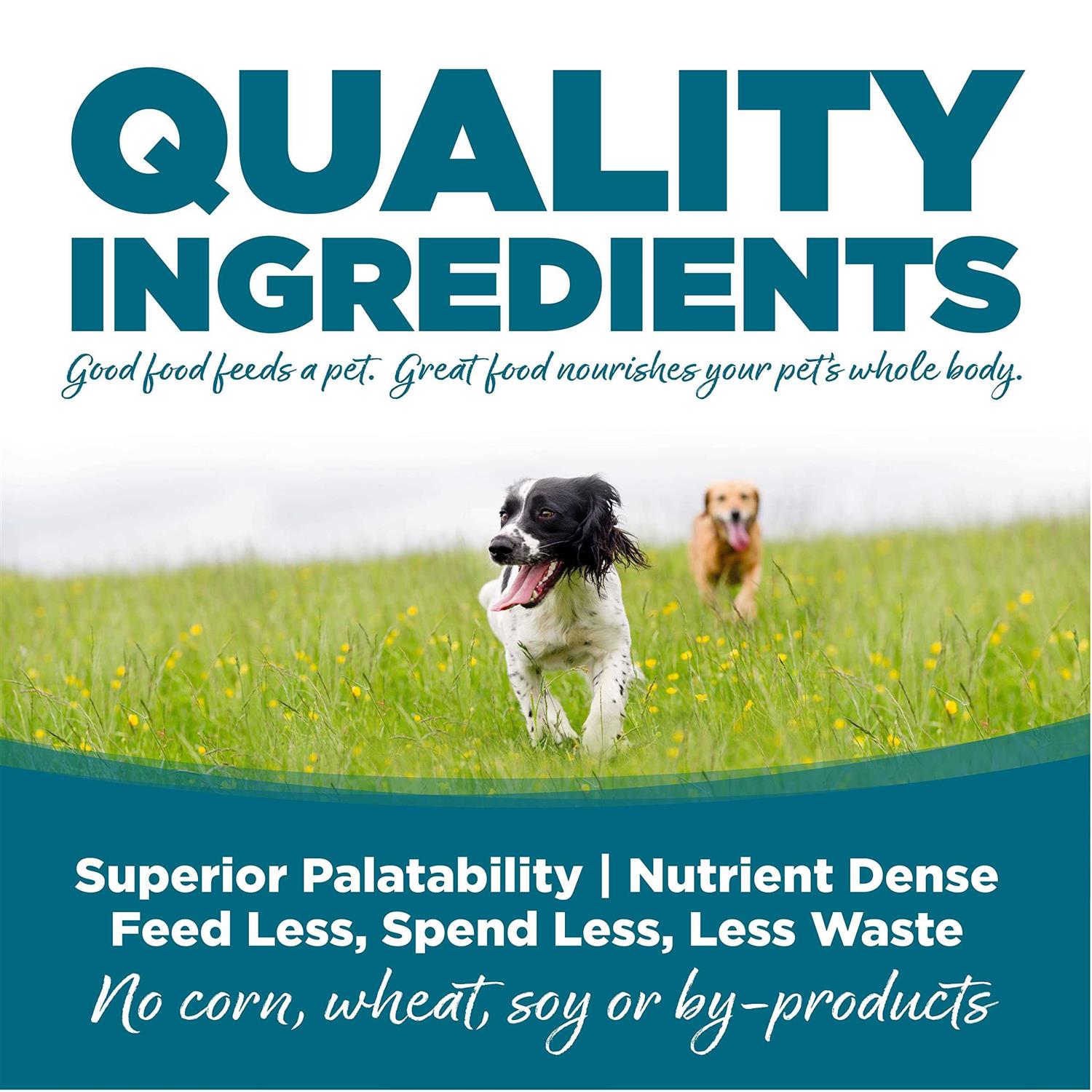 NutriSource Adult Chicken Rice Dry Dog Food - Pet Supplies online store
