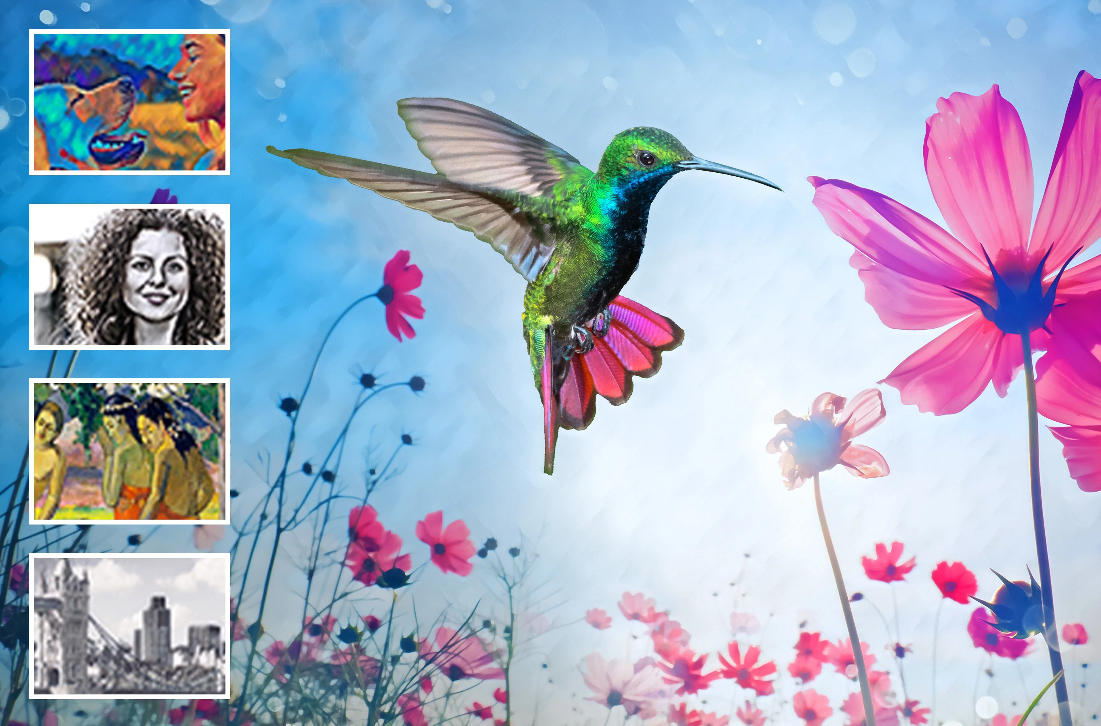 Adobe - Photoshop Elements 2024 & Premiere Elements 2024 - Windows [Digital Download]