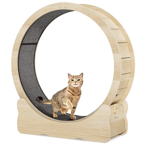DWVO Cat Wheel Exerciser for Indoor Cats, 43.3 Inch Solid Wood Cat Exercise Running Wheel with Carpeted Runway, Low Noise Cat Treadmill Wheel with Locking Mechanism, Ideal Gifts for Cat, Burlywood