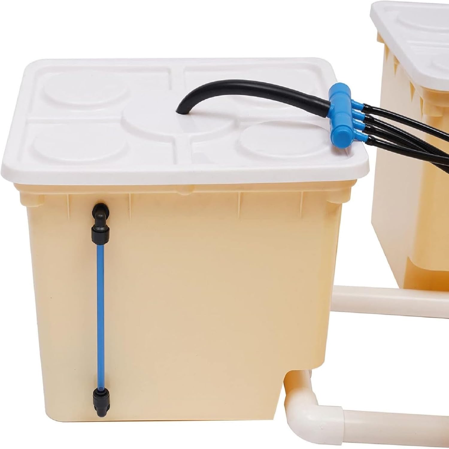 DWC Hydroponics System, 2.91 Gallon Deep Water Culture Growing System with 5 Sites Dutch Buckets and Lids, Recirculating Hydroponic Planter Kit for Cultivating Sorrel Tomatoes Peppers
