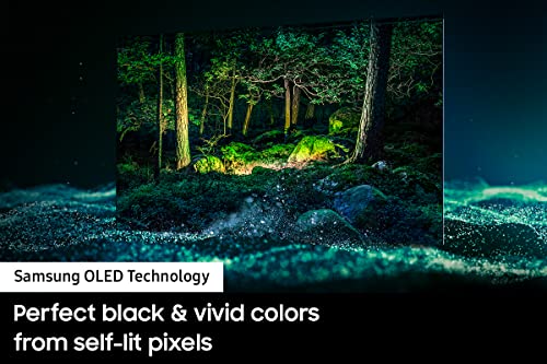 SAMSUNG Inch Class OLED 4K S95B Series 4K Quantum HDR OLED Self-Illuminating LED Smart TV with Alexa (Renewed)