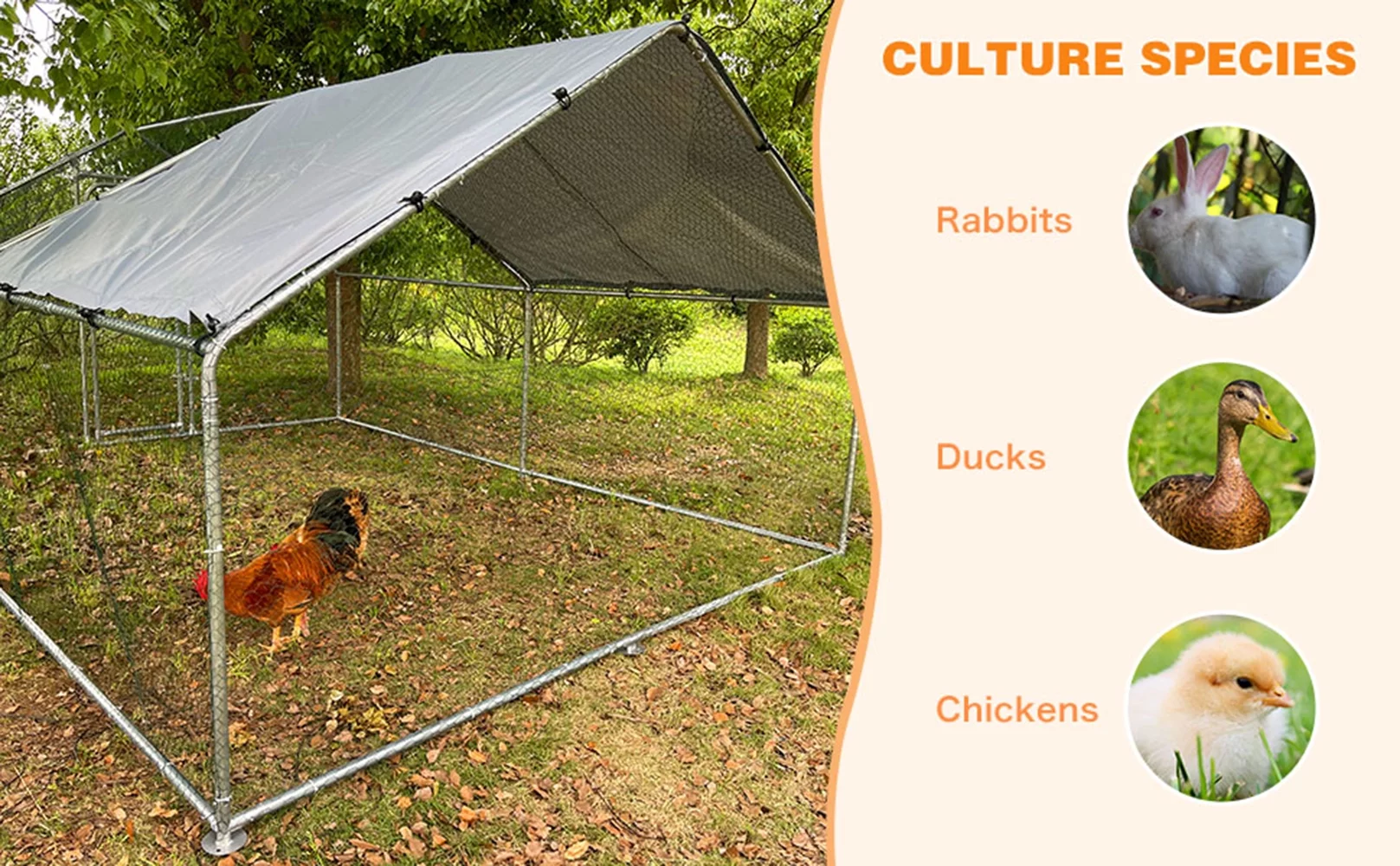 GeeLoon Extra Large Chicken Coop 10 x 13 ft Metal Walk-in Chicken Run Pen Silver