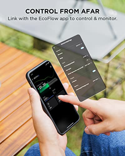 EF ECOFLOW Delta 2 with 220W Solar Panel Bundle