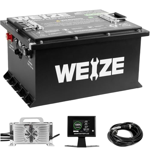 Weize 12V 100Ah TM LiFePO4 Lithium Battery, Built-in Smart BMS, Group 31 Deep Cycle Battery Perfect for Trolling Motor, RV, Solar, Marine, Overland/Van, and Off Grid Applications
