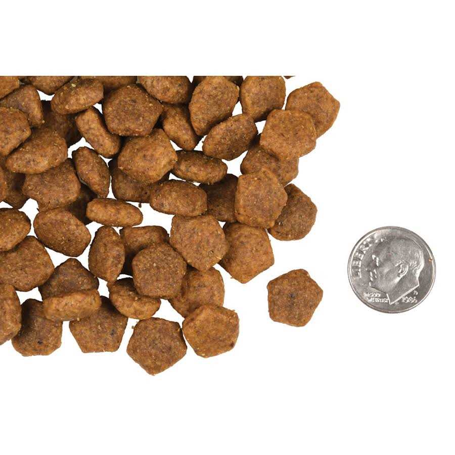 Fromm Heartland Gold Adult Dog Food - Pet Supplies online store